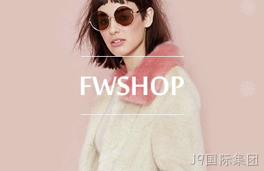 商城二网站案例
