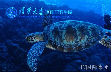 点击查看