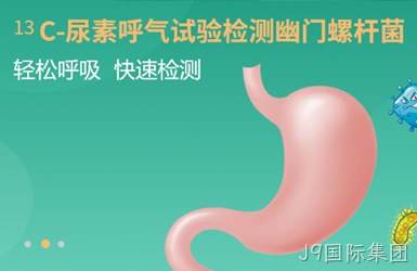 丹娜检测网站案例