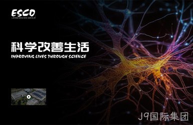点击查看