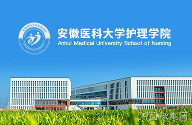点击查看安徽医科大学护理学院案例