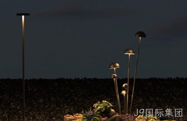 点击查看