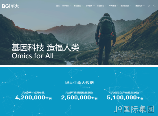 网站案例