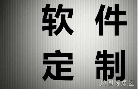 软件定制