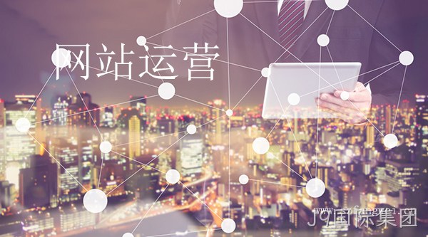网站运营维护