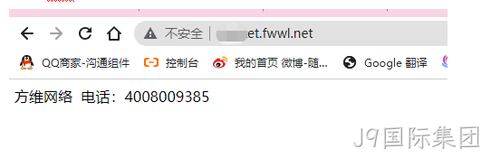 显示网页
