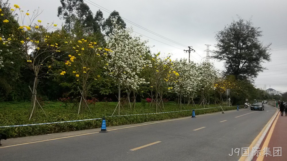 J9国际集团仙湖行