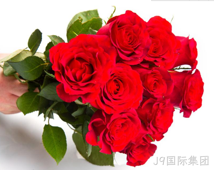 鲜花网站建设