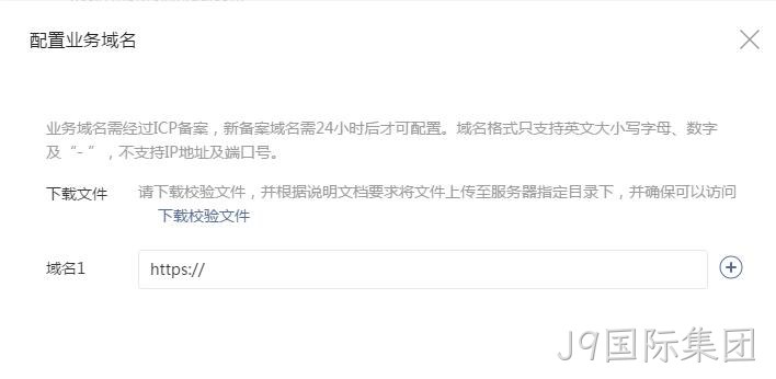 配置业务域名要求